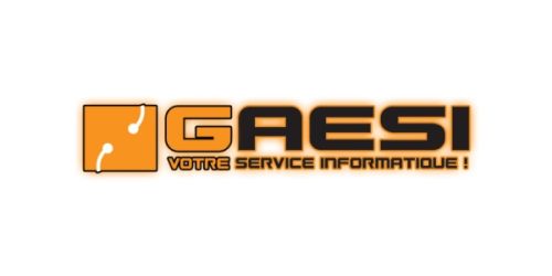 Partenaire GAESI